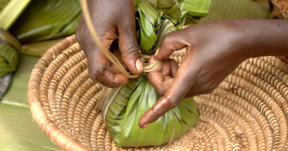 Going Green: Kerala Moots Banana Leaves As Plastic-Free Food Wrappings