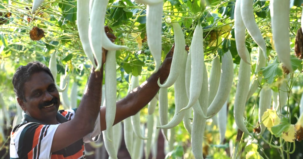 From Home to Police Station, This Kerala Cop’s Green Thumb is Reaping Rich Harvests