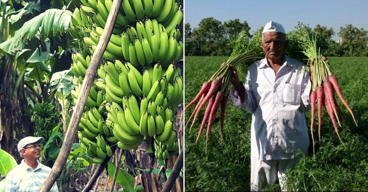 Kisan Chachi to Banana King: Meet 10 Amazing Farmers Who Won the Padma Shri This Year!