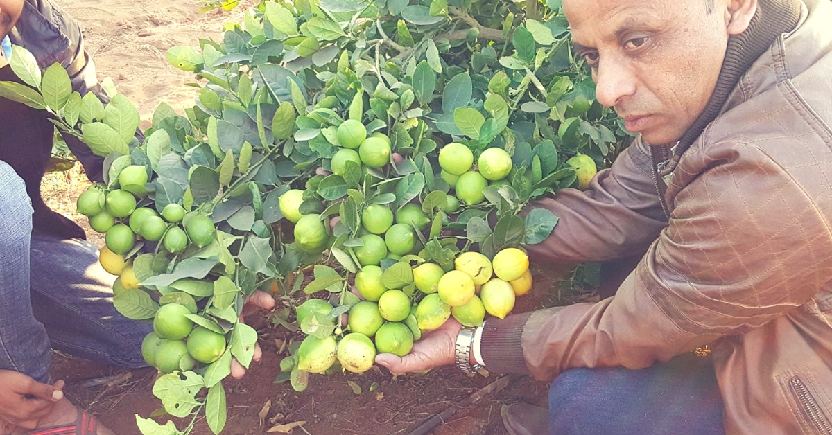 These Organic Farmers Prove Lemons in Life Can Fetch You Lakhs in Profit. Here’s How!