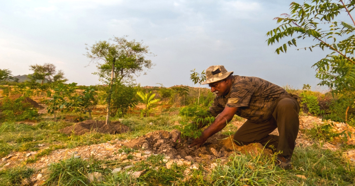 Karnataka Photographer Works For 3 Years, Transforms Barren Acre to Thriving Forest