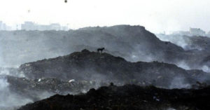 Indore IAS Officer Clears 13 Lakh Tons of Garbage from 100 Acres in 6 Months!