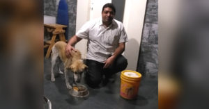 Pawing It Forward: Pune Doctor's Life Saved by Stray Dog He Saved 16 Years Ago!