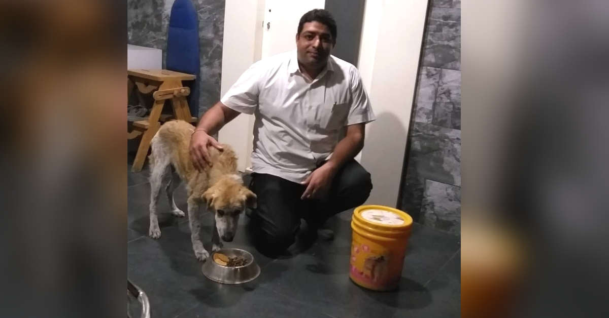 Pawing It Forward: Pune Doctor’s Life Saved by Stray Dog He Saved 16 Years Ago!