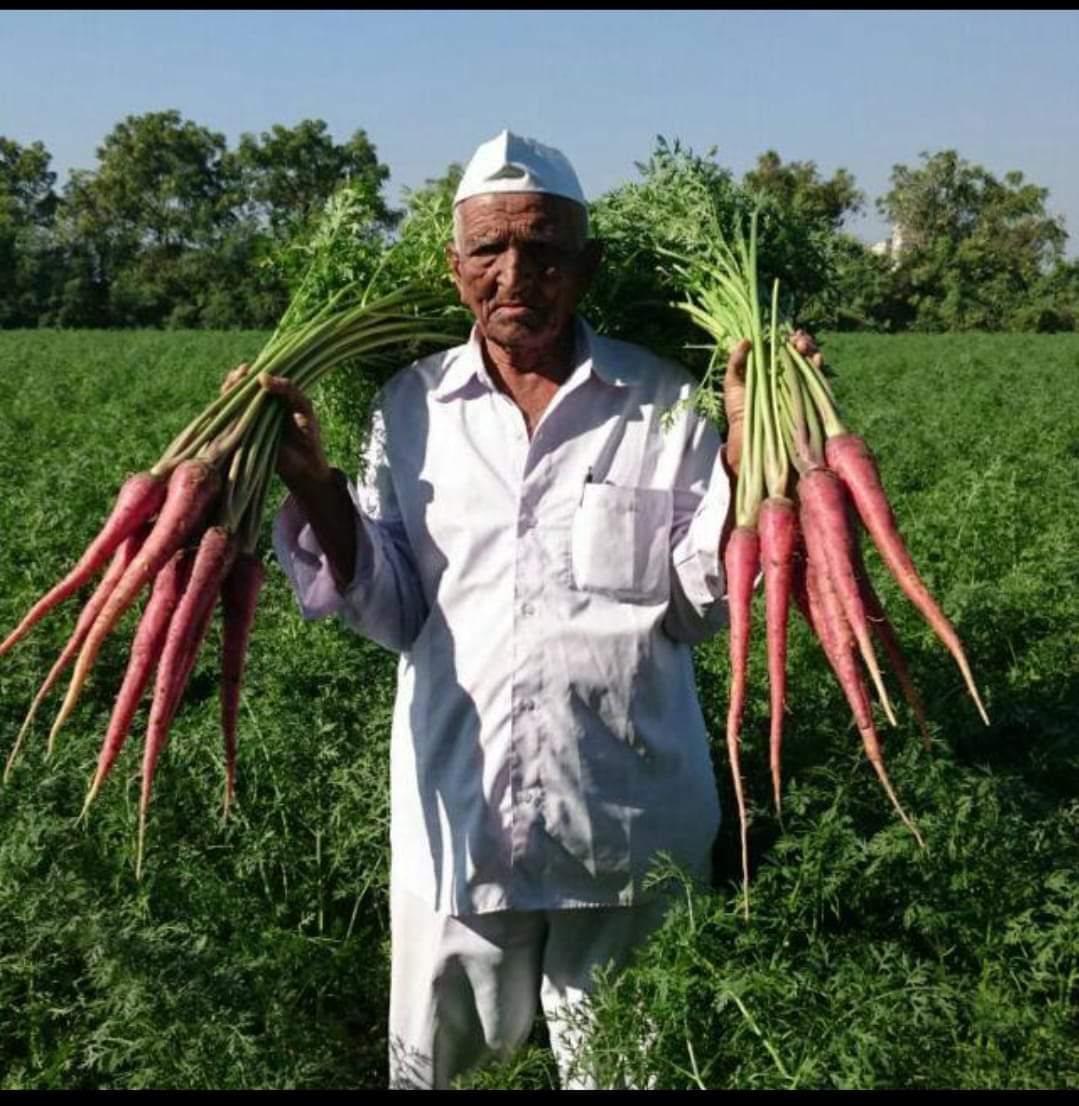 carrot farmer Vallabhbhai Vasrambhai Marvaniya padma shri