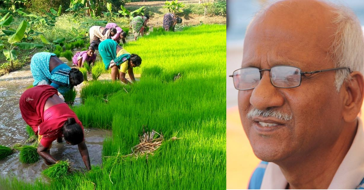 Exclusive: Retired TN Banker Sells Home to Turn Barren Land into Model Organic Farm!