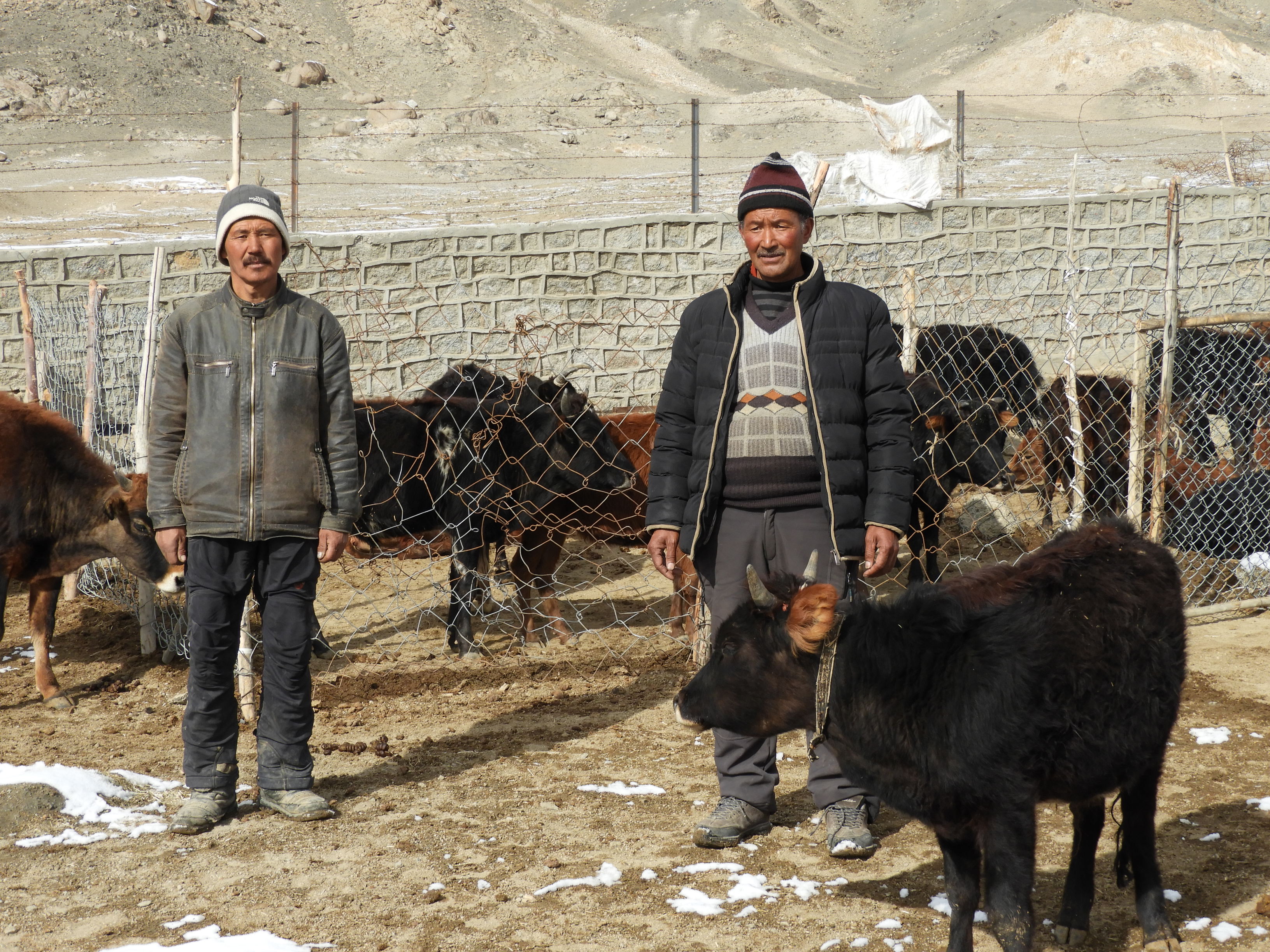 (Source: Rinchen Angmo/Reach Ladakh)