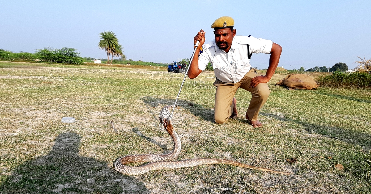 A Local Conservation Hero, Amazing Telangana Cop Has Rescued 1300 Snakes in 5 Years