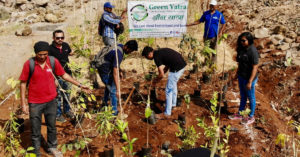 12,000 Trees, 1 Acre: This NGO Is Creating a Dense Forest in the Middle of Mumbai