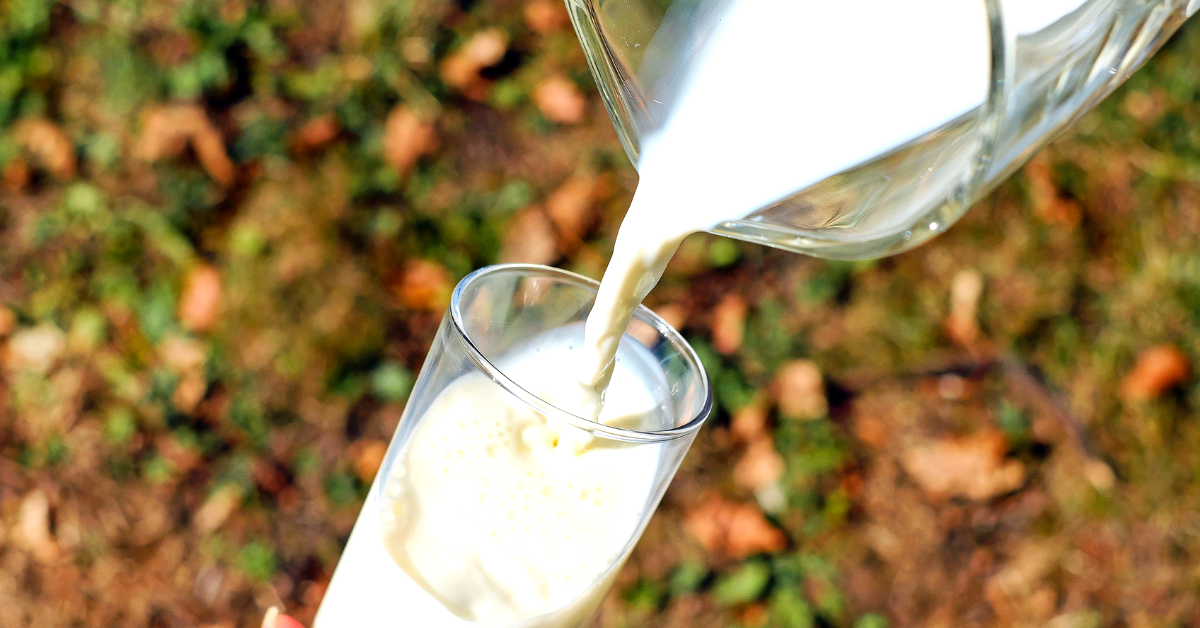 Skimmed, Toned or Full Cream: How To Choose The Right Milk For Your Family