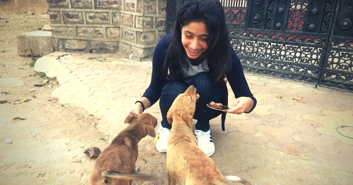 14-YO Girl Turns Saviour For Strays, Builds Shelter For 40+ Dogs In Just 3 Months