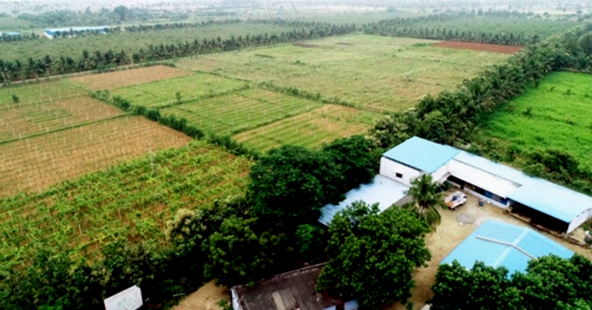 73-YO Man Turns 200 Acre Land Into Organic Farm, Saves 2 Cr Litres of Water/Year!