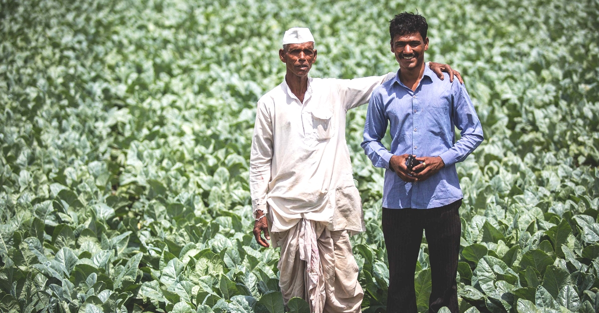 AI to the Rescue: How Phones are Turning into Plant Doctors for Thousands of Farmers