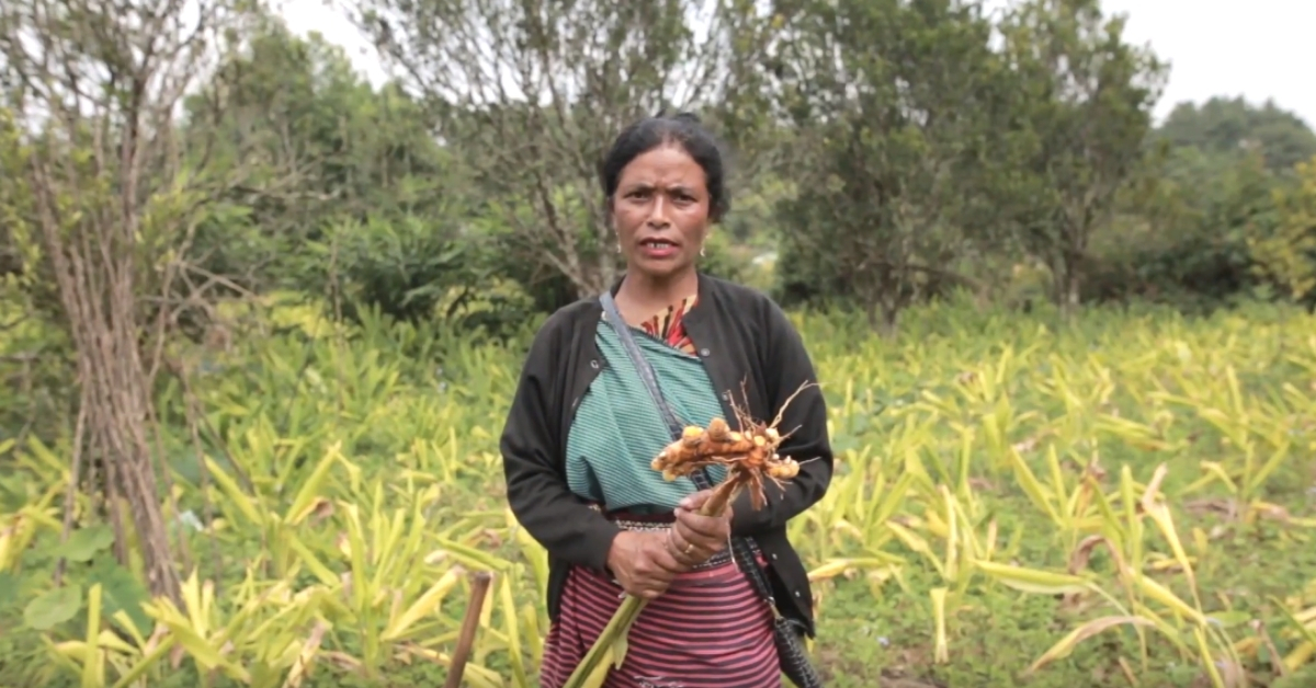 Meghalaya Teacher Grows Unique Turmeric, Helps 900+ Farmers Triple Their Income!