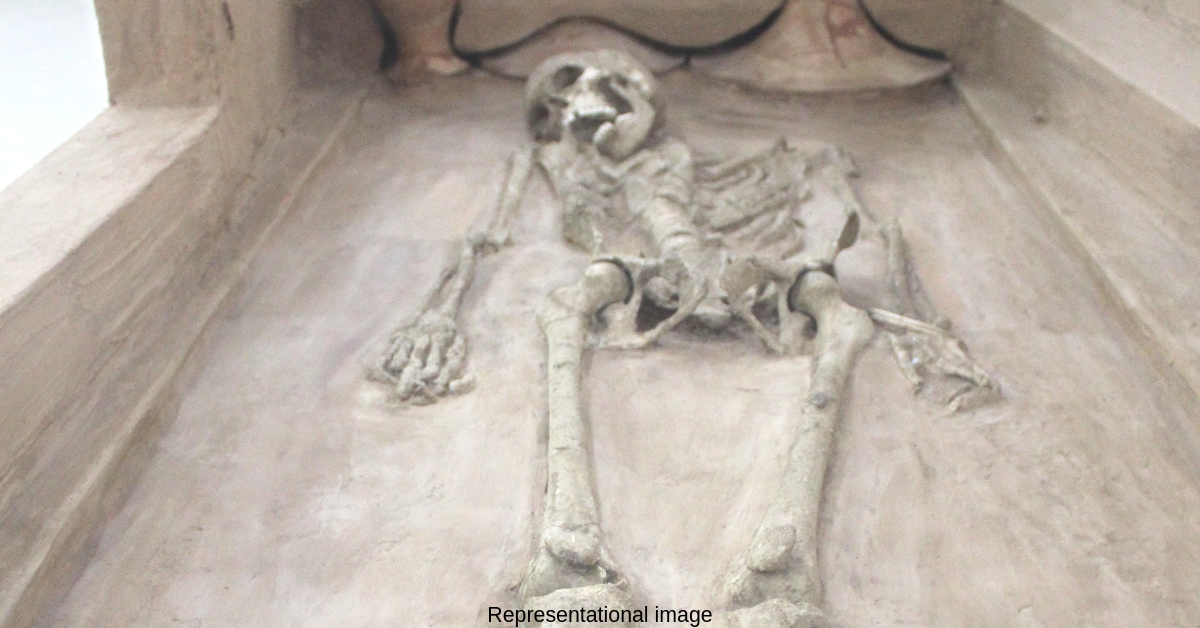 5,000-YO Skeleton Found in Kutch: What It Reveals About the Harappans