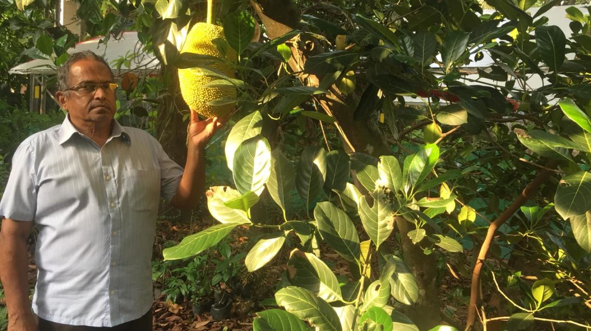 Working 35 Yrs, Ex-Banker Grows Lush 2 Acre Forest in Kochi!