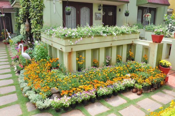 Bottles to Old Shoes: Mysuru Woman's Flower Garden Gets Her 11 Awards ...