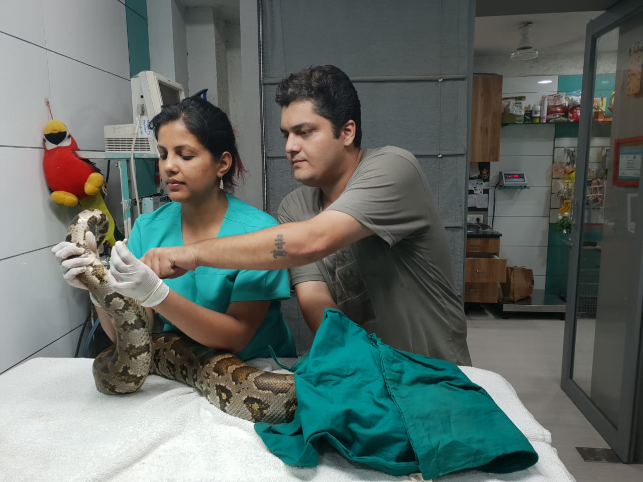 This Mumbaikar Might Be Only 26 But He Has Already Rescued 10,000+ Animals!