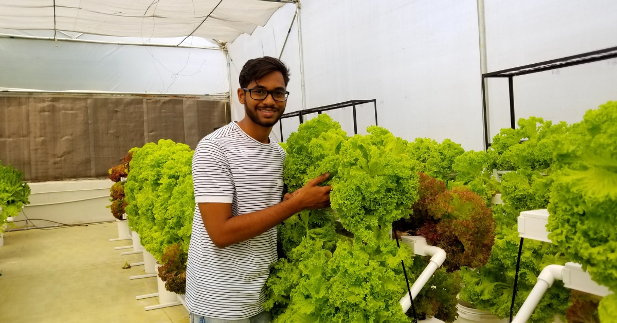 No Time, Space to Farm At Home? Hyderabad Hydroponics Firm Has a Doorstep Solution!