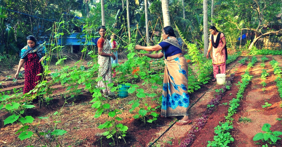 Rattled by 7 Cancer Cases, Kerala Villagers Join Hands to Turn 63 Acres Organic!