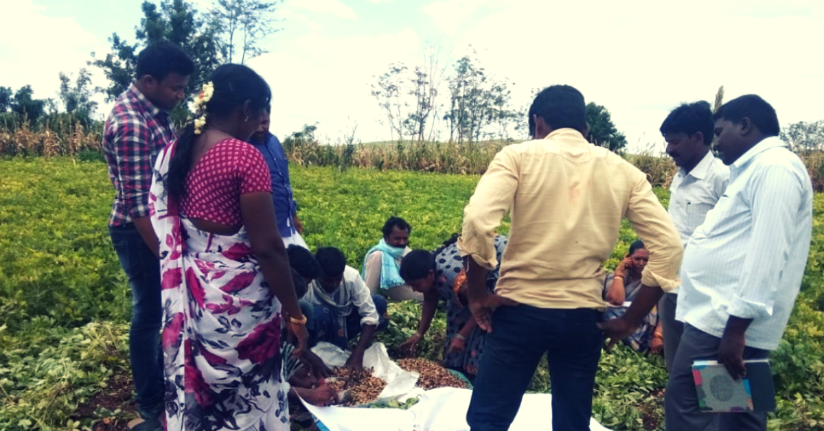 Rattled by Farmer Suicides & Health Issues, Telangana Village Turns 250 Acres Organic!