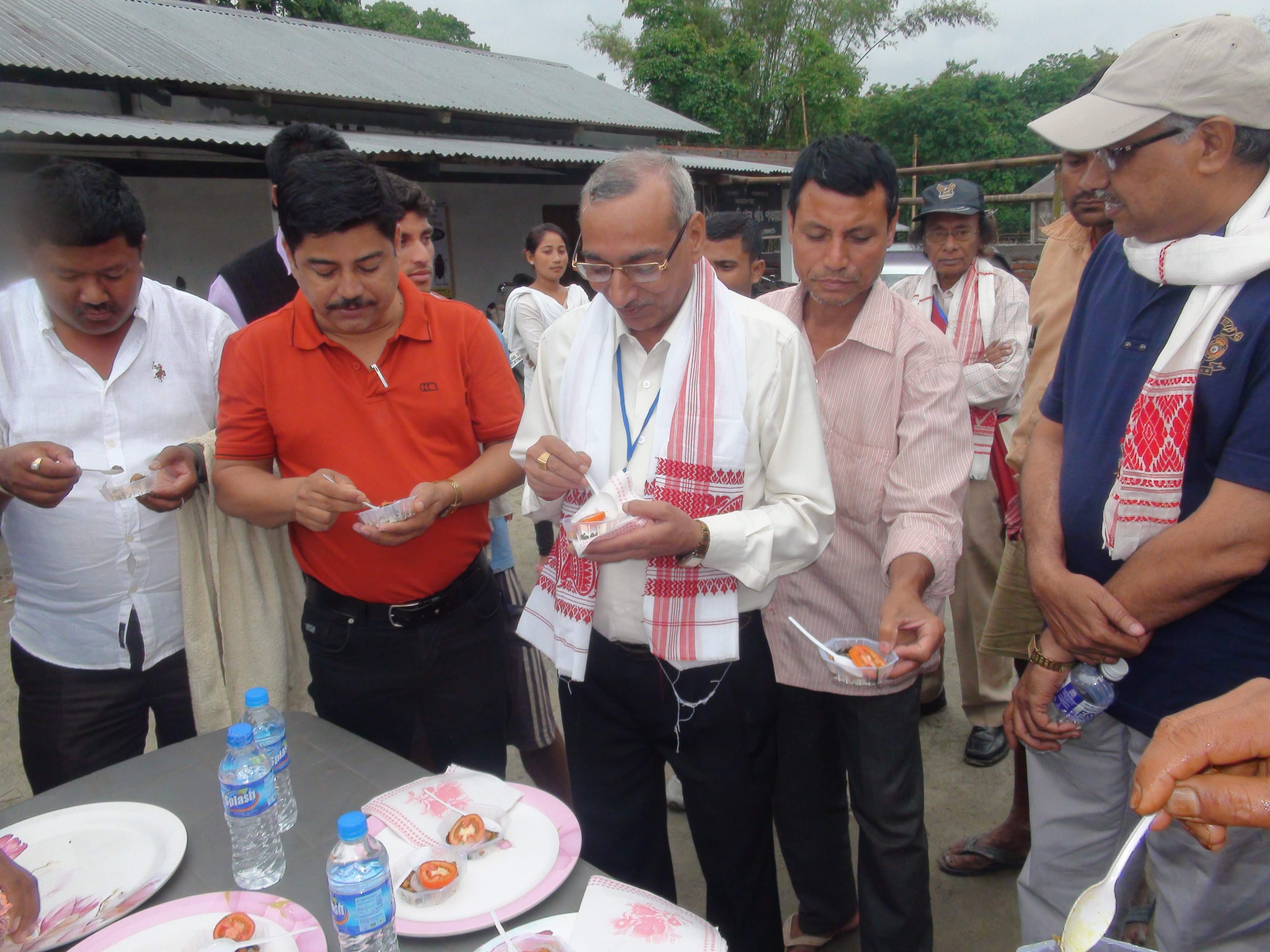 Savouring beetle fry (Source: AINPSAPJORHAT AAU)