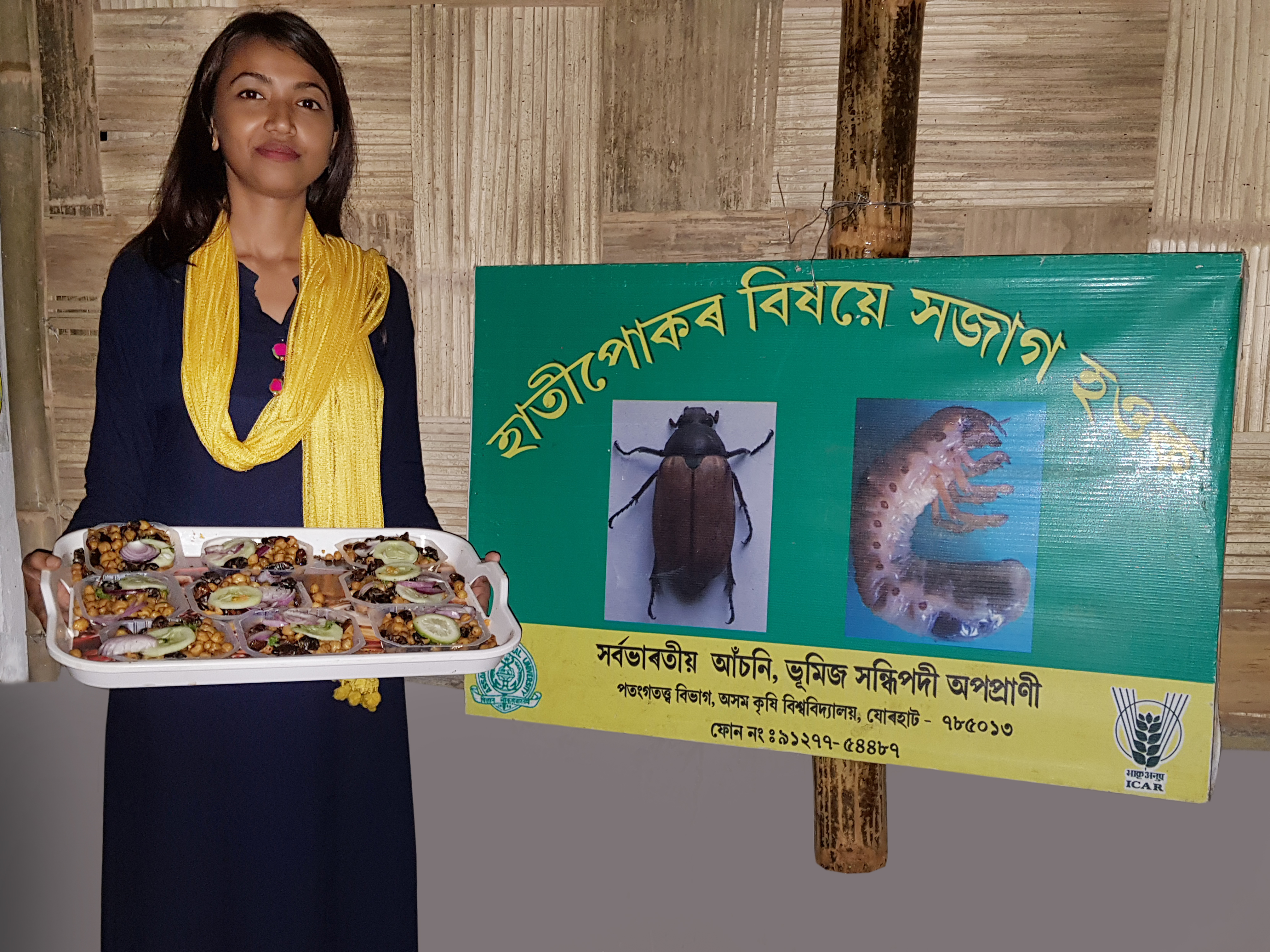 Beetle Fry Dish (Source: AINPSAPJORHAT AAU)