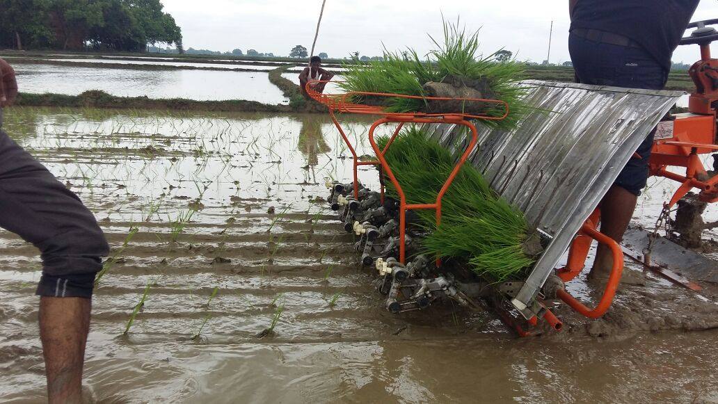 Machine Paddy Transplantation (MPT) in Basahi, Buxar. (Source: DeHaat)