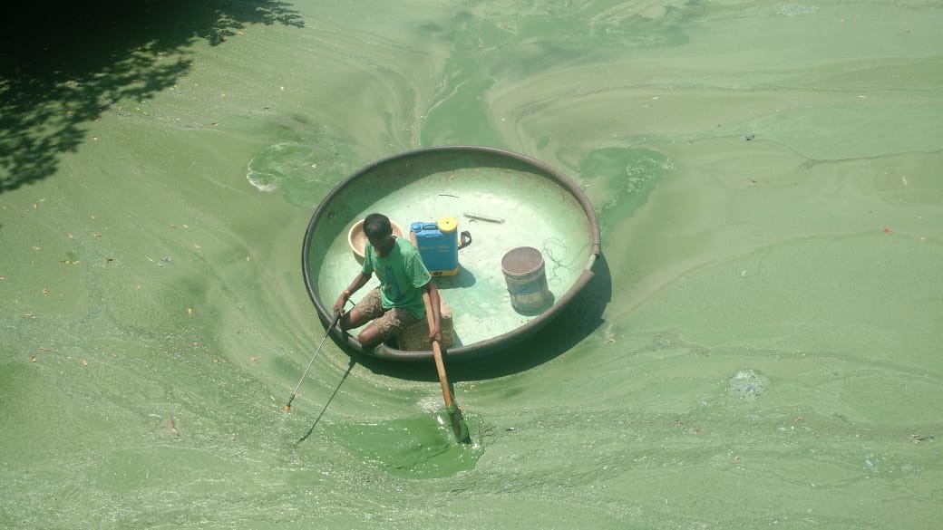 Fisherman spraying EM solution into the lake. (Source: MAPSAS)