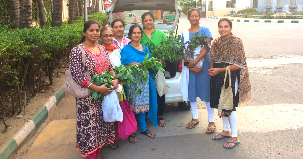 Engineer Turns Organic Farmer, Supplies Fresh Greens to Houses an Hour After Harvest