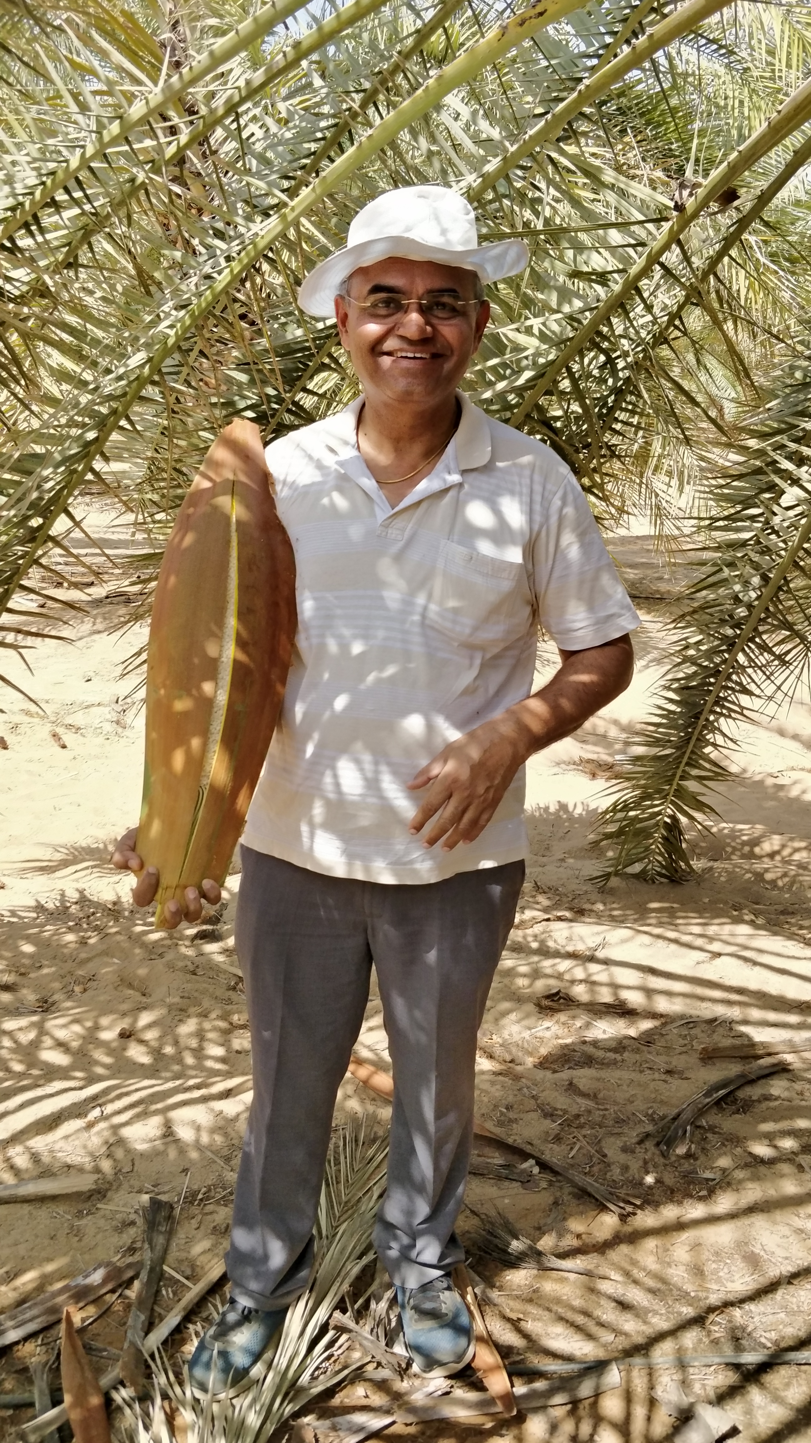 Gujarat farmer bhuj dates fruit orchard Israel india