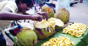 With Jackfruit We Stand: Dear Guardian, Here's Why India Loves This 'Pest-Plant'