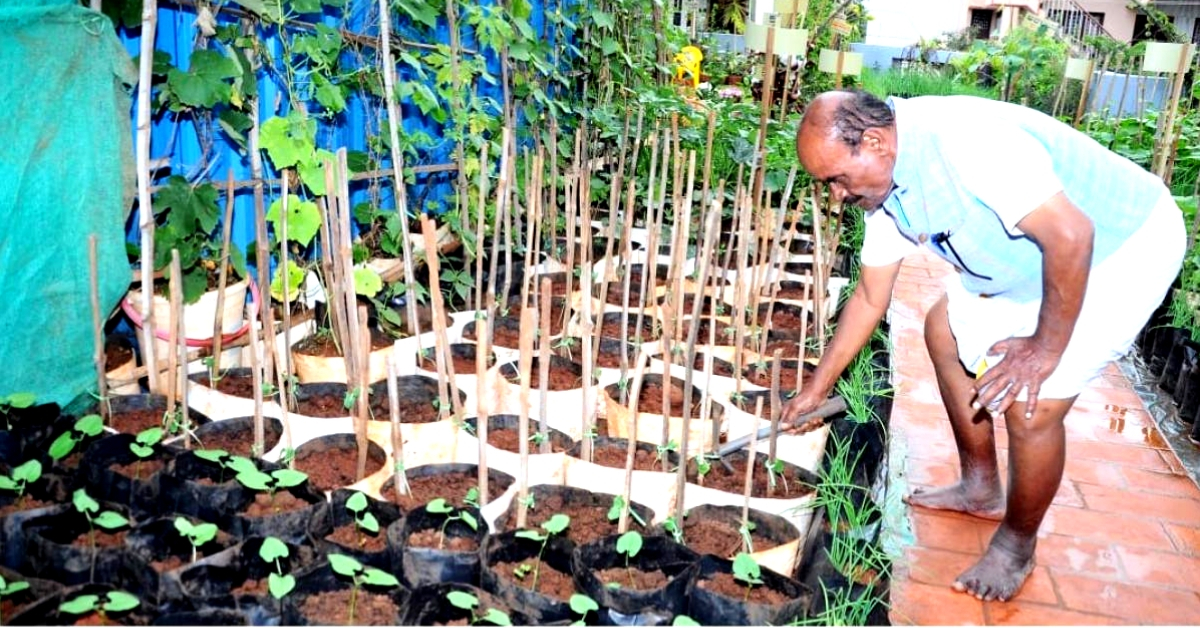 Mysuru Man With Lung Ailment Grows 20+ Veggies in Award-Winning Garden!