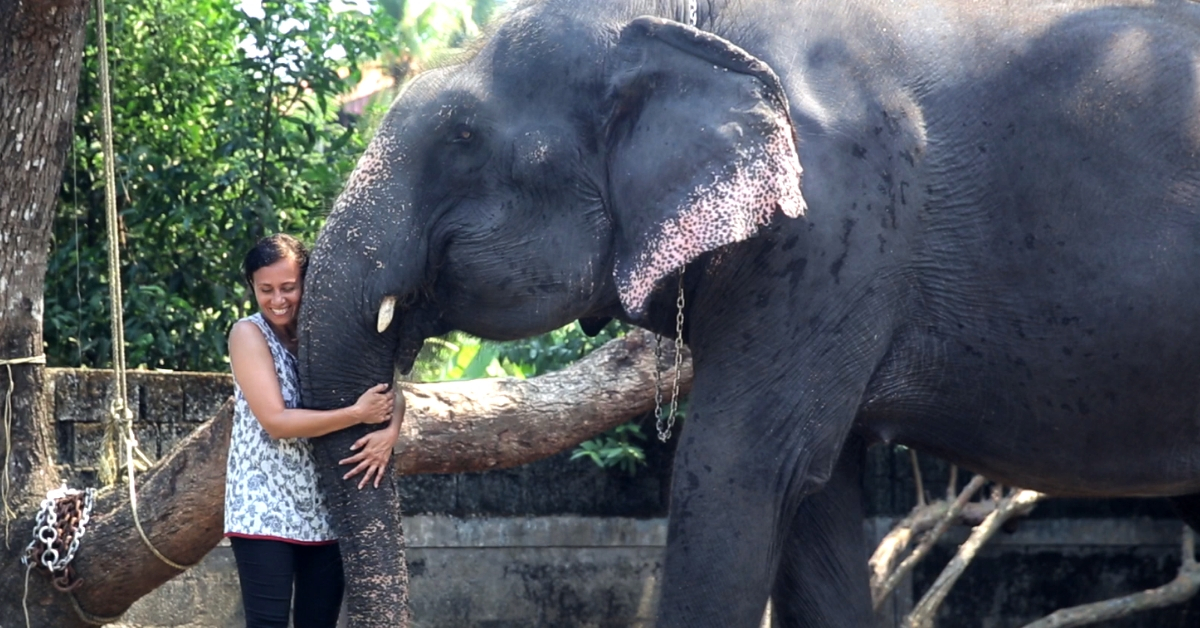 Meet the Kerala Woman Fighting with All Her Might to Protect India’s Elephants from Abuse