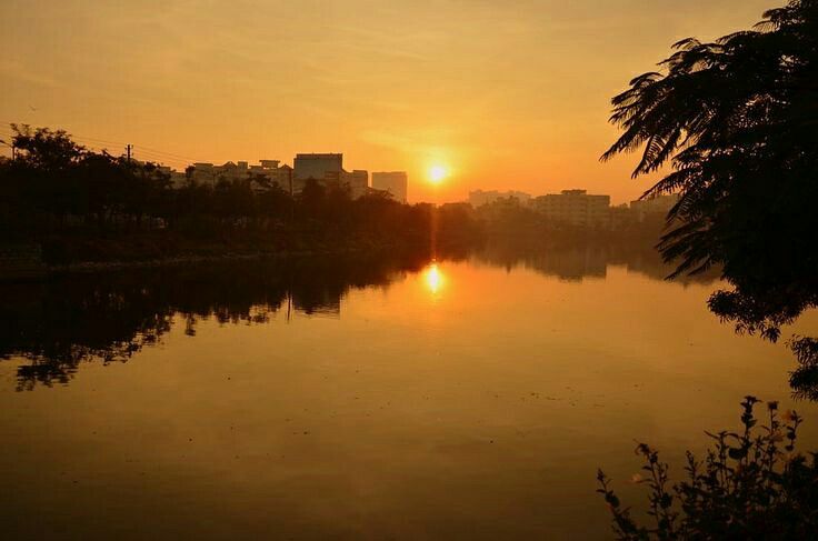 Kaikondrahalli Lake (Source: Facebook/Sriram Shankaranarayana Photography)