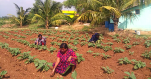 Trans People in This Karnataka Village Are Farming Their Way Out of Exploitation