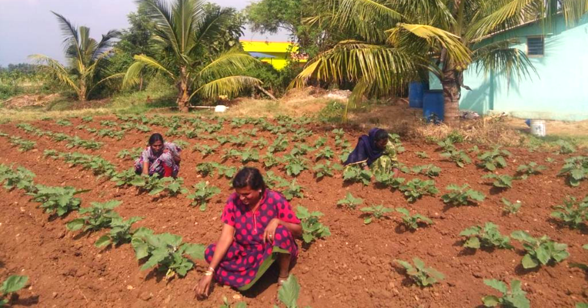 Trans People in This Karnataka Village Are Farming Their Way Out of Exploitation