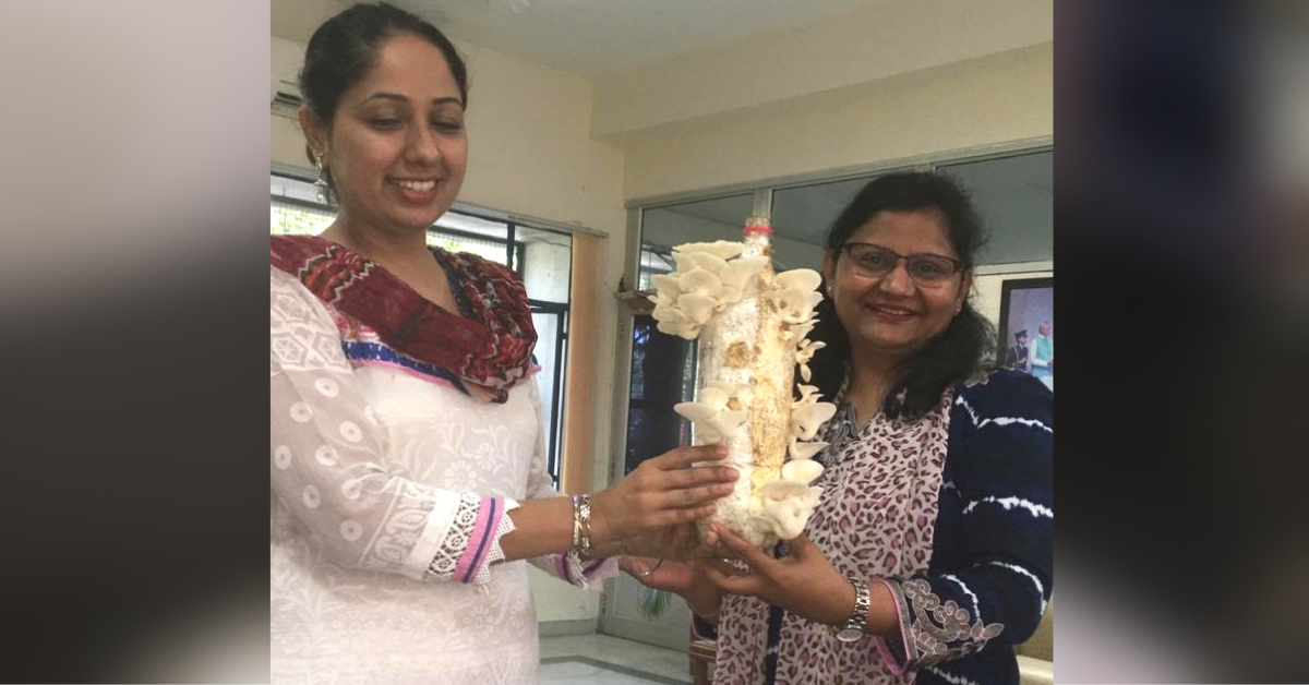 Punjab College Grows Mushrooms from Kitchen Waste in Plastic Bottles, Wins Award!