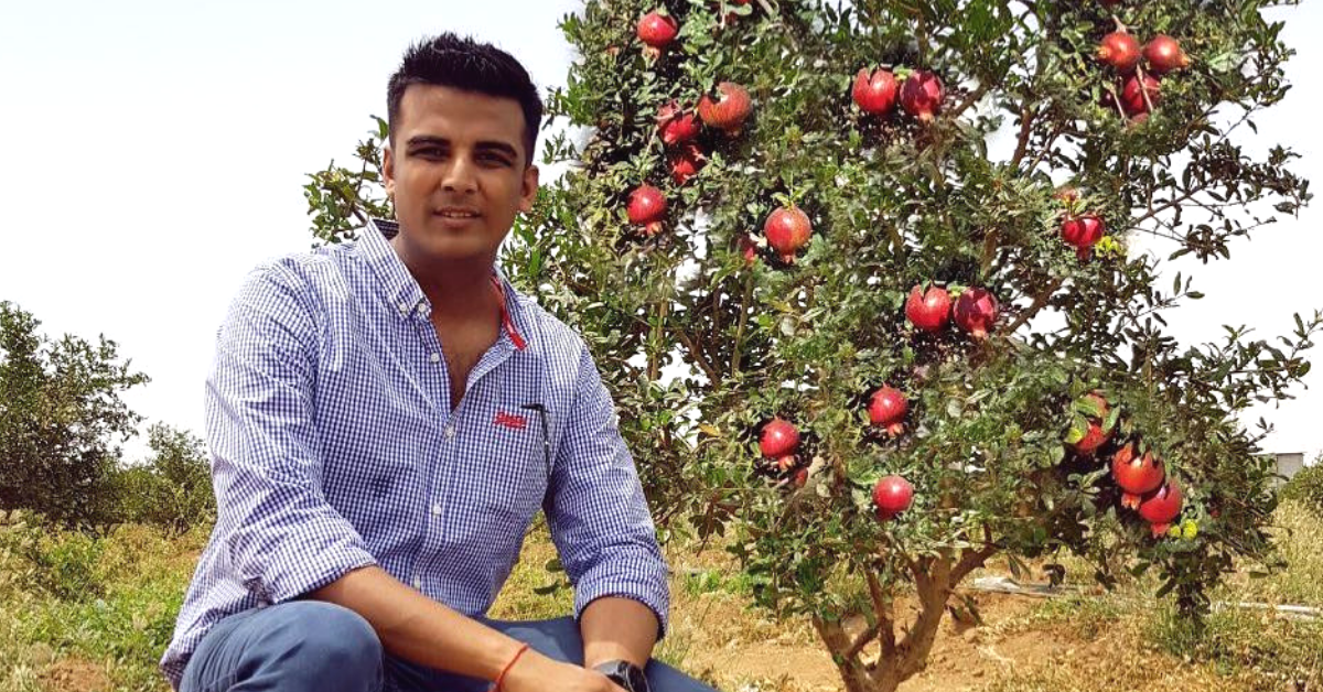 Ex-Investment Banker Starts Farm to Grow Residue-Free Fruits, Now Earns Lakhs From Exports!