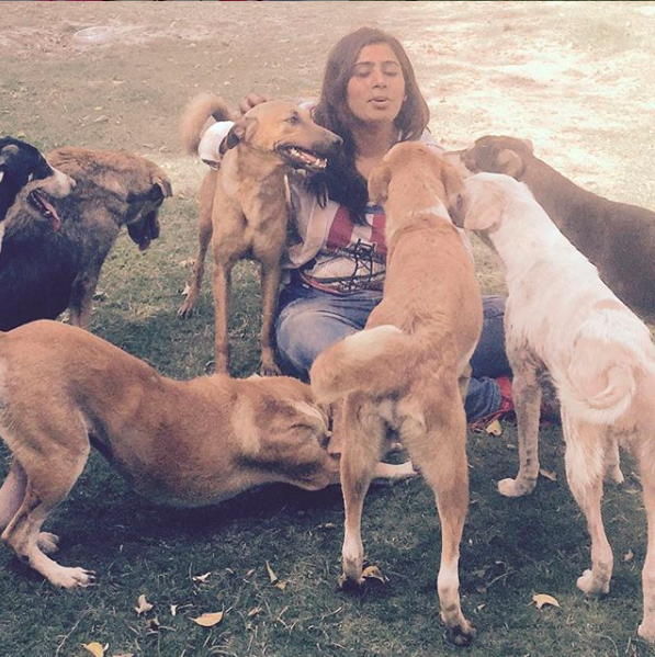 Noida Woman Saves 80+ Injured & Disabled Dogs From Mercy Killings, Gives Them a Secure Life!