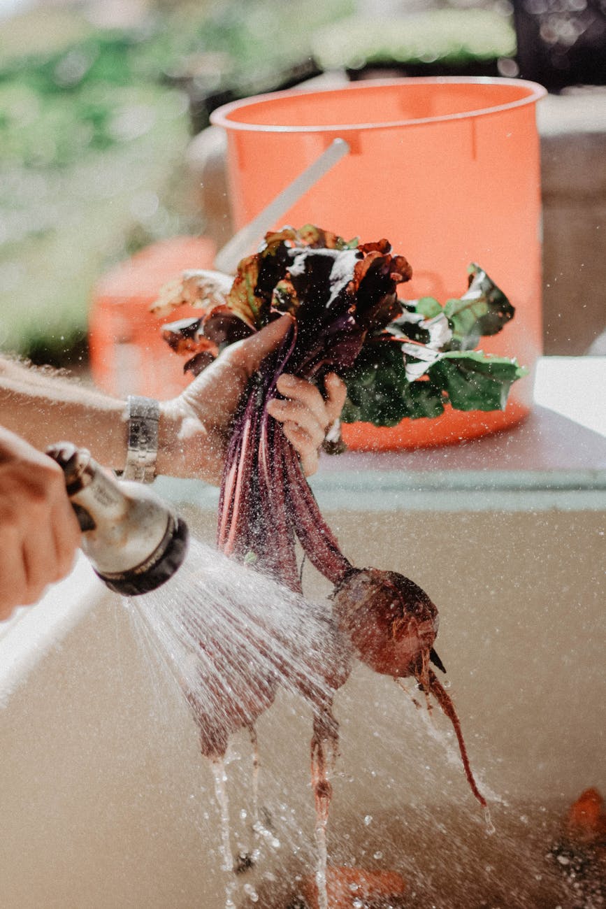 How to Wash Fruits & Vegetables