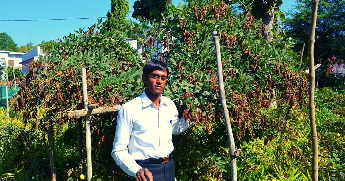 MP Farmer Grows Chemical-Free Food in 5 Layers, Earns Millions From Just 2.5 Acres!