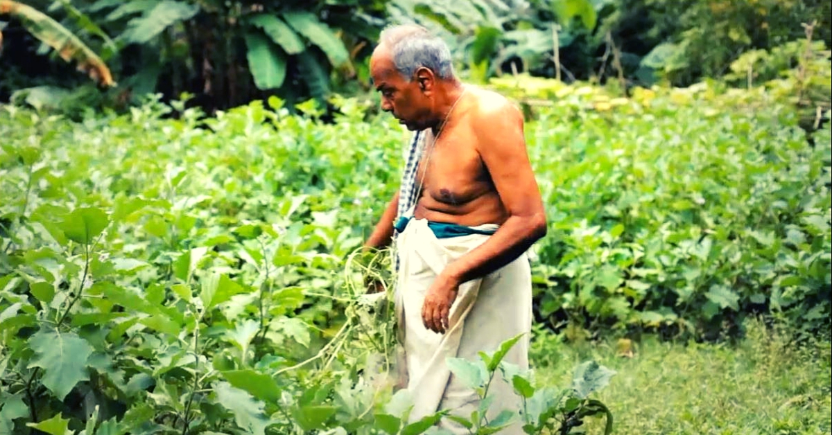 Pesticide Poisoning Inspires Odisha Teacher To Go Organic, Save 700 Rice Varieties