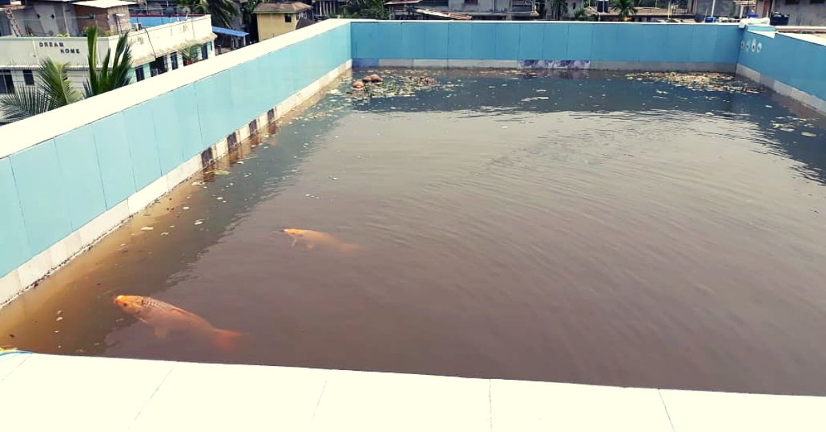 Assam Man Farms Fish in Rooftop Pond, Turns Kitchen Waste into Biopesticides!