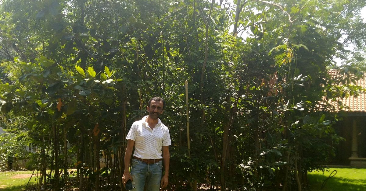 This 58-YO Bengaluru Man Wanted to Live in a Forest. So He Grew One in His Backyard!