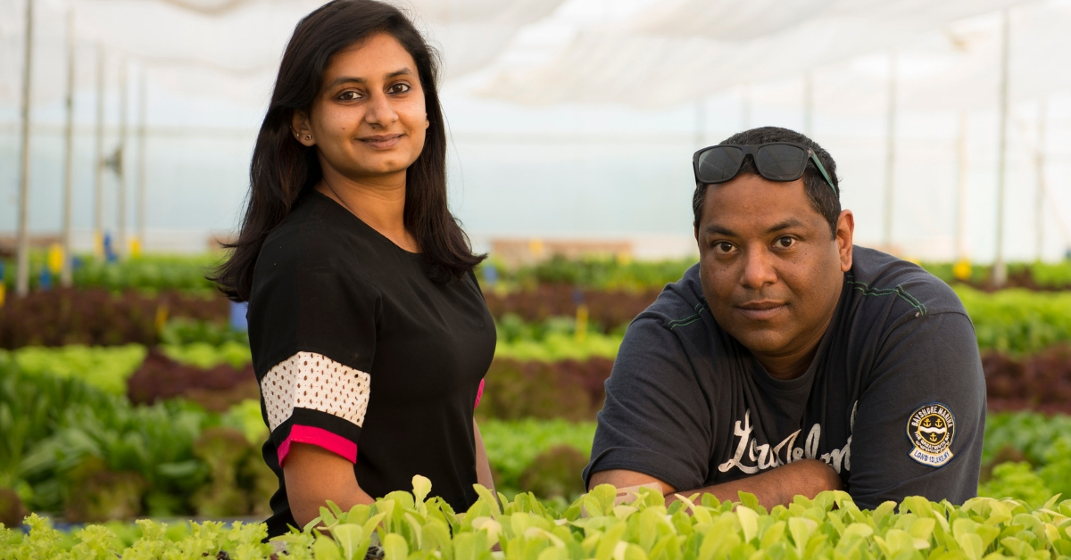 Uttarakhand Aquaponics Farm red otter organic leafy greens india