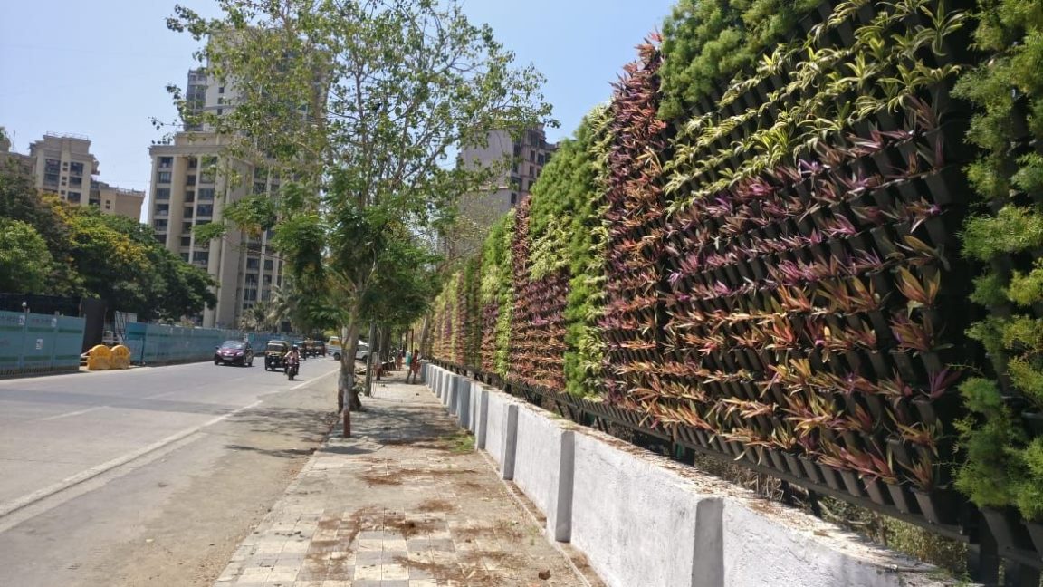 Mumbai Gets BioFence to Protect Mangroves From Waste