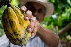 Organic Farming! What's The Big Deal & Why Should You Even Care?