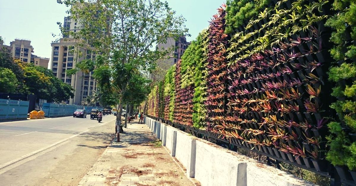 Mumbai Gets First-Of-Its-Kind Bio-Fence to Protect Mangroves From Waste