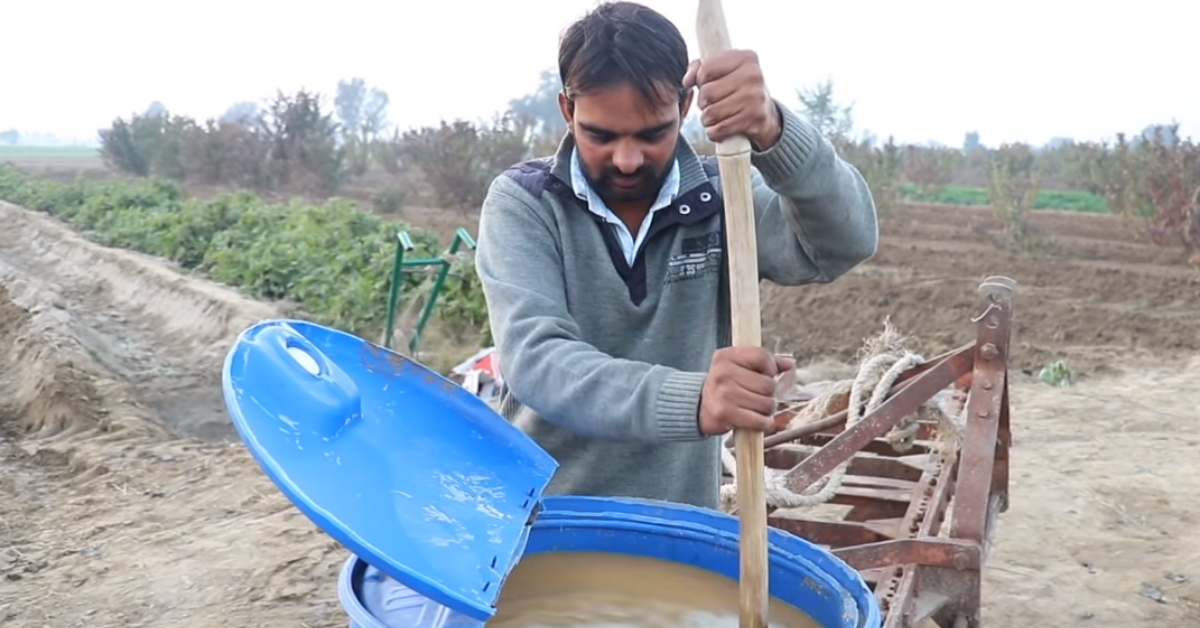 Rs 5 Lakh to 50 Lakhs: Haryana Engineer Scripts Success in Zero-Budget Natural Farming!